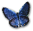 wpef612530.png